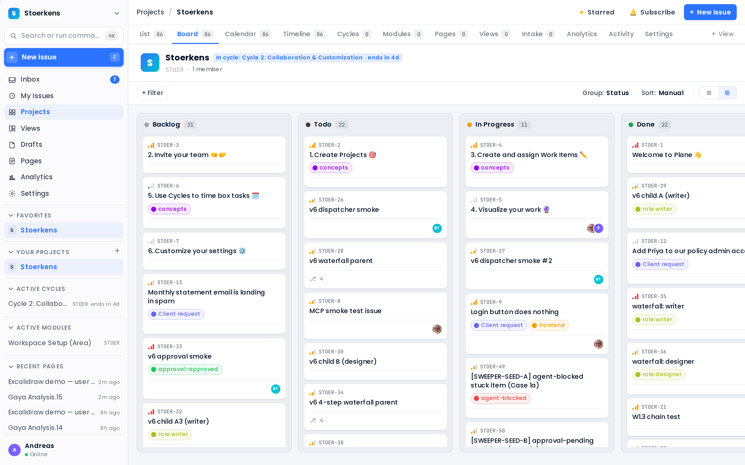 Project board